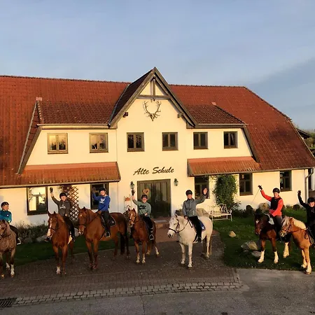 Gotland - Alte Schule Barlin * Dargun